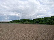 Продаж земельної ділянки, с. Речичани, площа 3 га, ділянка розташована в лісі біля річки. Львовская обл.